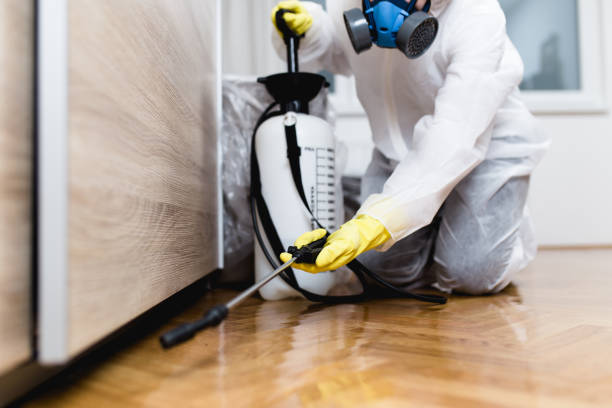 Best Ant Control Services  in Helena Valley Northeast, MT