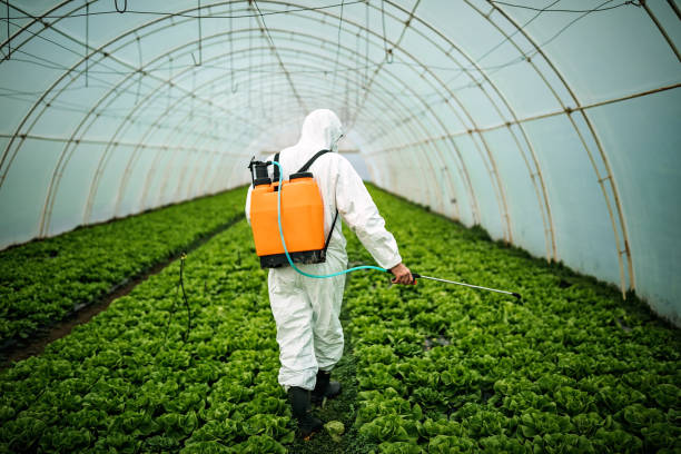 Best Local Pest Control Services  in Helena Valley Northeast, MT