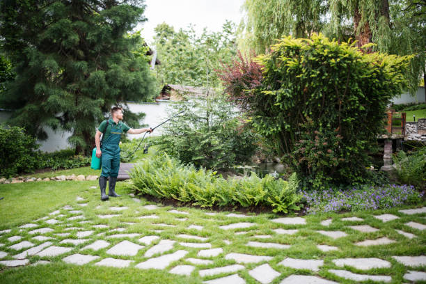 Best Residential Pest Control  in Helena Valley Northeast, MT