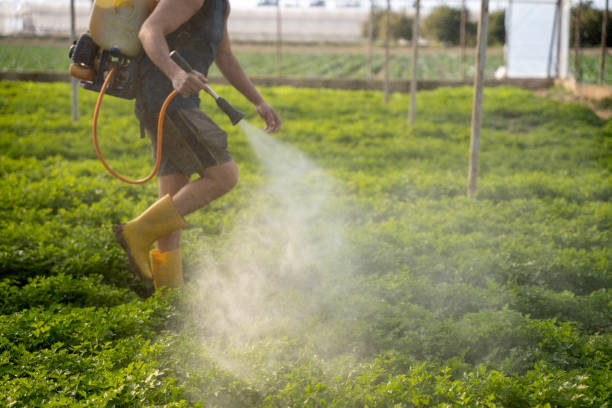 Pest Control for Restaurants in Helena Valley Northeast, MT