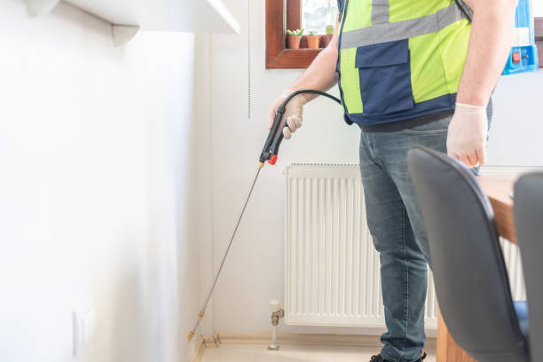 Best Flea Control Services  in Helena Valley Northeast, MT
